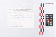 Foto von Keramikgefäß (NHMW-PRAE-085764)